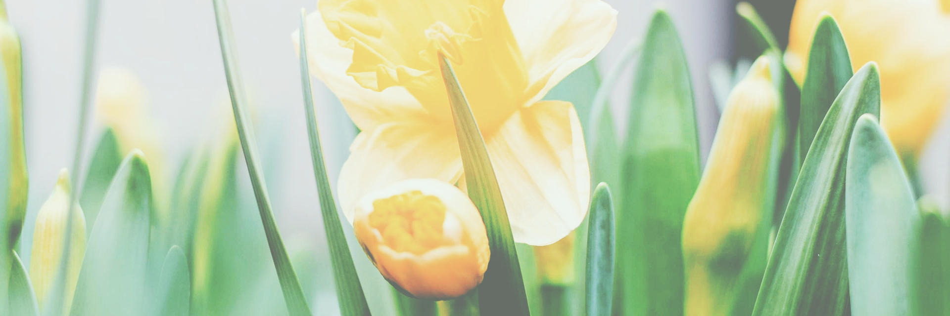 Åpningstider påsken 2021 Åpningstider påsken 2021