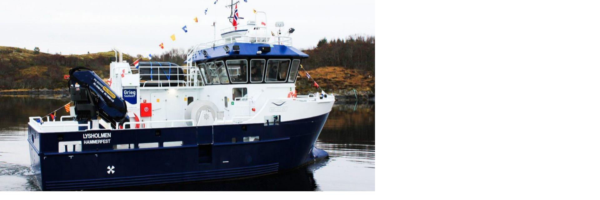 Viknaslipens  Viknaslipens