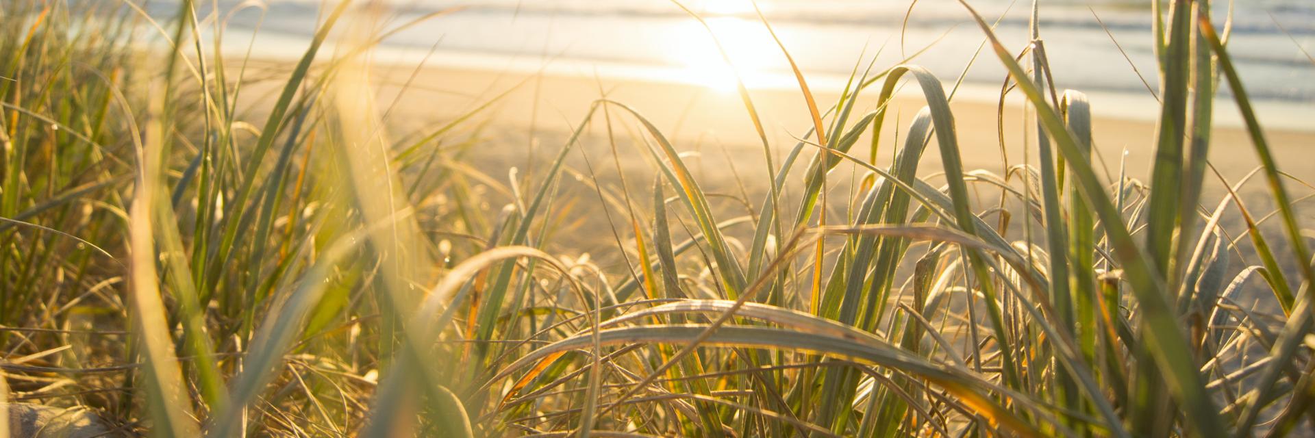Sommerens åpningstider hos Norsk Stål Sommerens åpningstider hos Norsk Stål